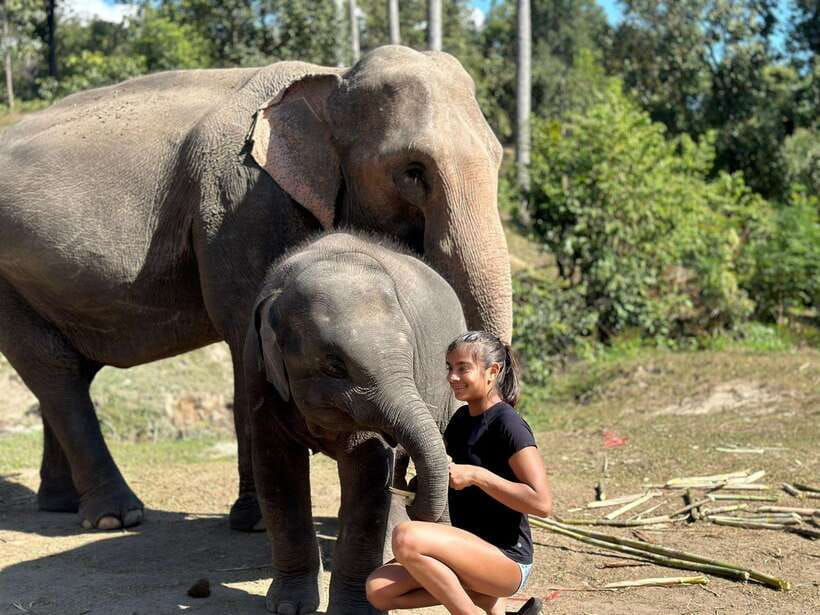 Chiang Mai: Elephant Sanctuary, Waterfall & Bamboo Rafting - Bamboo rafting on the Mae Wang River: the relaxing finale