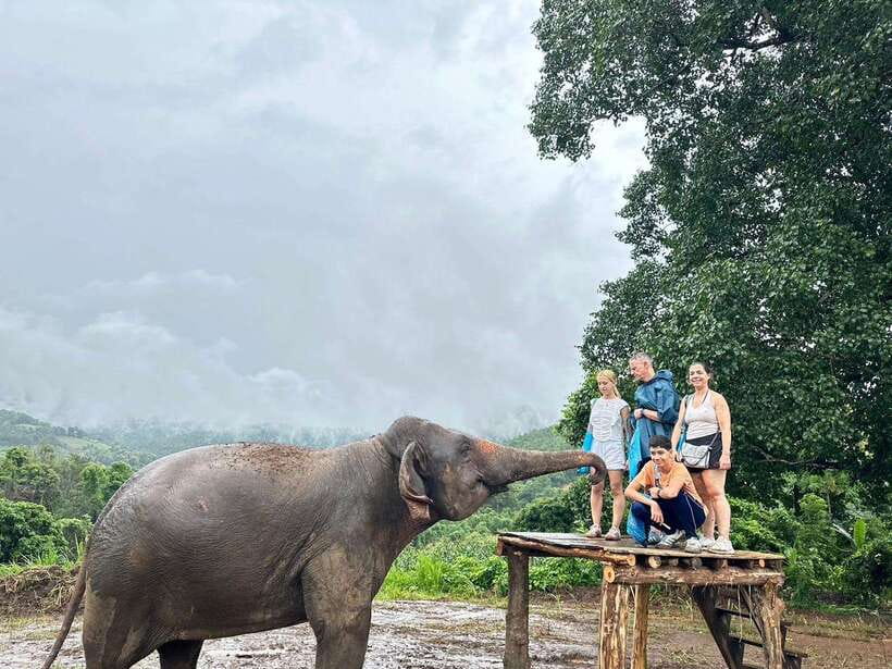 Chiang Mai: Elephant Sanctuary & Waterfall Group Tour - Group-day logistics that affect your comfort