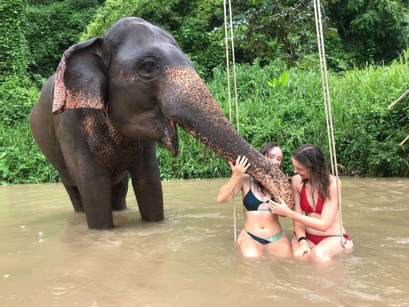Chiang Mai: Elephant Sanctuary & Waterfall Group Tour - How the day flows: from pickup to Pon Elephant Thailand