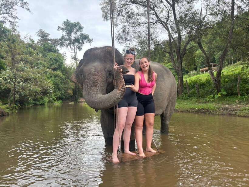 Chiang Mai: Elephant Sanctuary & Waterfall Group Tour - Meeting the elephants: feeding, touching, and watching their real behavior