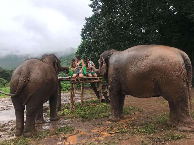 Chiang Mai: Elephant Sanctuary & Waterfall Group Tour - Walking with elephants to the river: why this part matters
