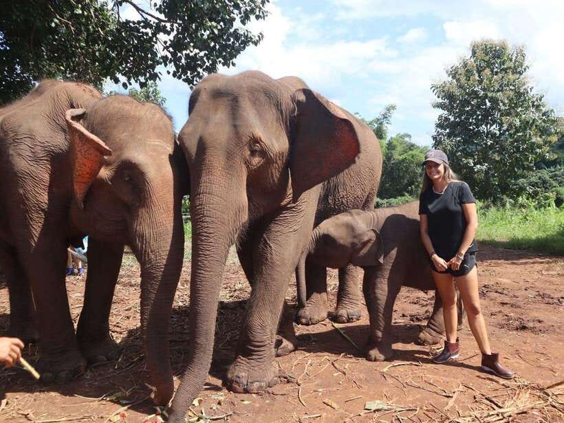 Chiang Mai: Elephant Sanctuary & Waterfall Group Tour - Pon Elephant Thailand: the briefing that sets the tone