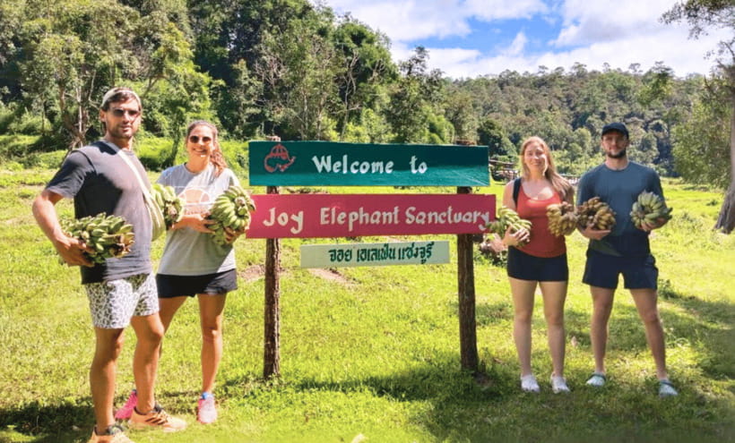Chiang Mai: Ethical Half Day Elephant Sanctuary & Waterfall - Key Highlights You’ll Care About