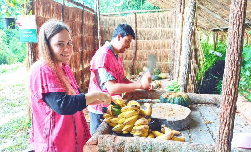 Chiang Mai: Ethical Half Day Elephant Sanctuary & Waterfall - Feeding and Foraging With the Herd: The Ethical Elephant Moment
