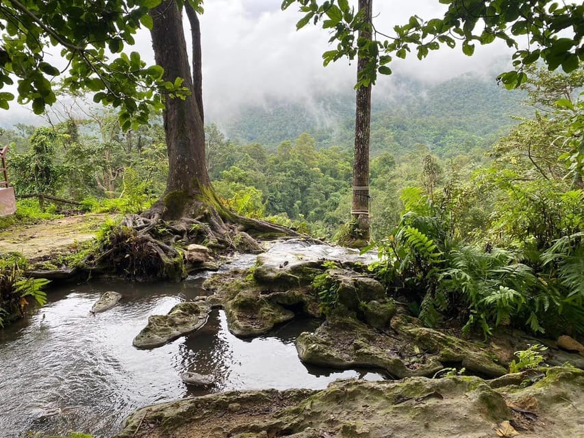 Chiang Mai Half Day Tour: Sticky Waterfall & Hotel Transfer - Bua Tong Sticky Waterfalls: why you can climb at all