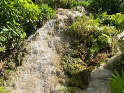 Chiang Mai Half Day Tour: Sticky Waterfall & Hotel Transfer - The logistics: pickup points, times, and where the day starts