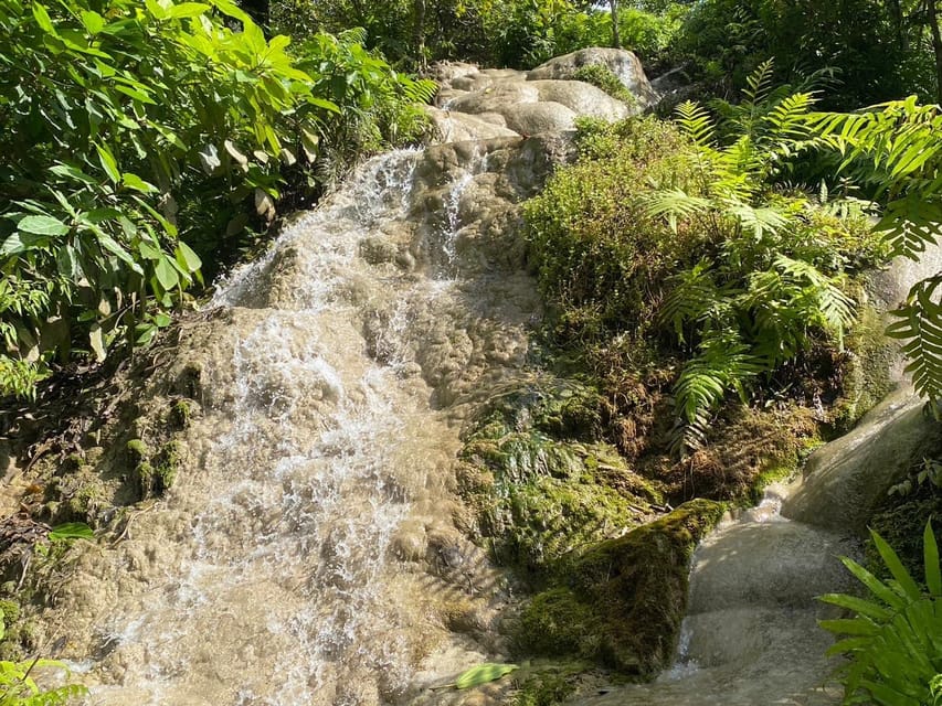 Chiang Mai Half Day Tour: Sticky Waterfall & Hotel Transfer - The logistics: pickup points, times, and where the day starts