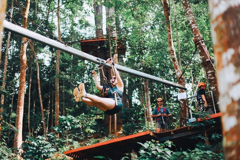 Chiang Mai: Jungle Flight Zip Line Roller Coaster - The roller-coaster zip finale: why the last stretch feels extreme