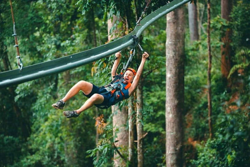 Chiang Mai: Jungle Flight Zip Line Roller Coaster - The zip line circuit in the 1000-year-old forest