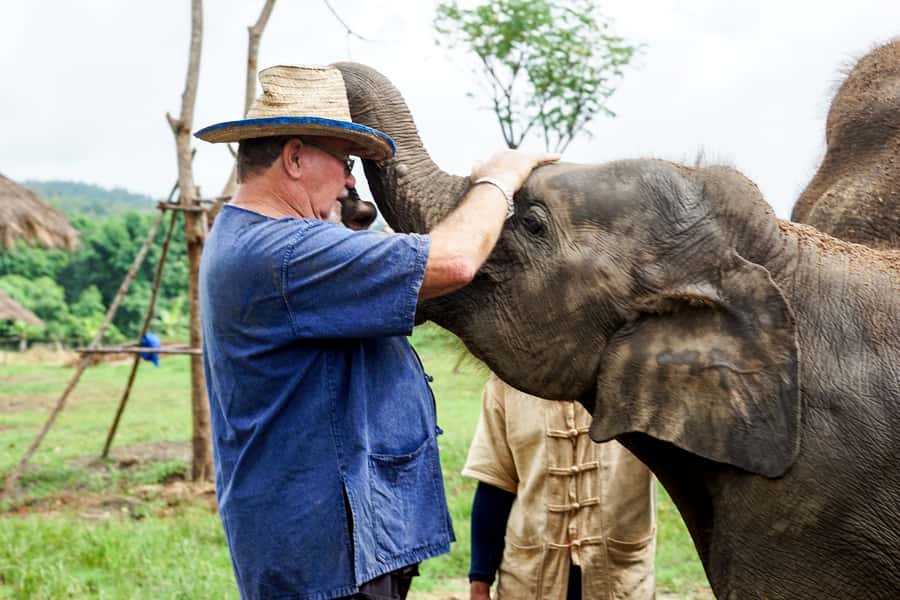 Chiang Mai: Small Group Ethical Elephant Sanctuary Tour - Who should book this tour, and who might reconsider