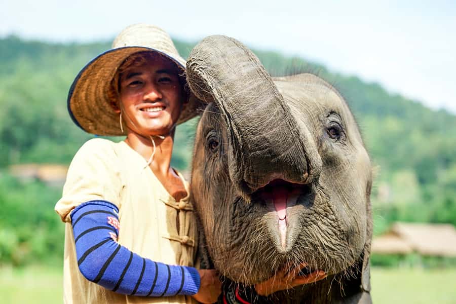 Chiang Mai: Small Group Ethical Elephant Sanctuary Tour - The sanctuary welcome: rules, conservation talk, and safe contact