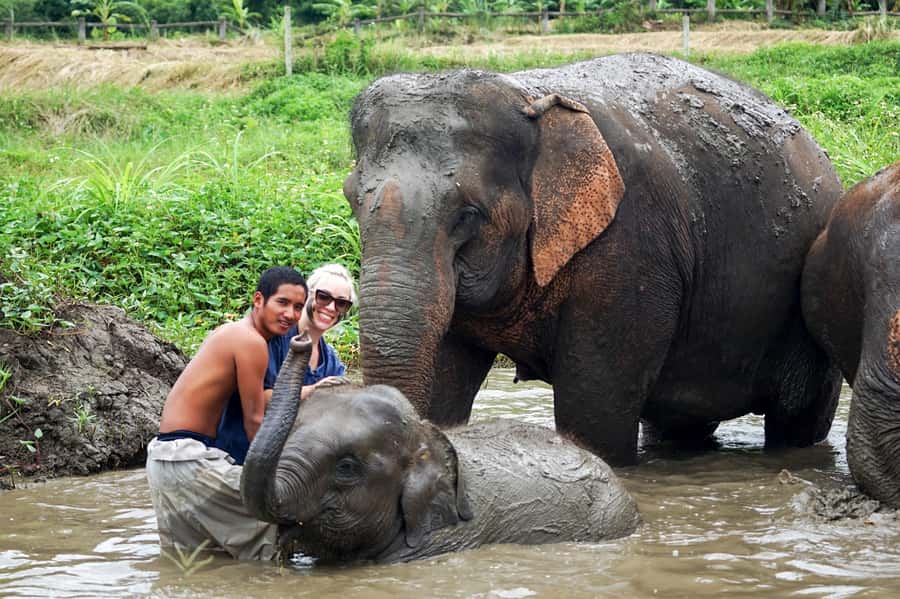Chiang Mai: Small Group Ethical Elephant Sanctuary Tour - Thai lunch inside the sanctuary while the day keeps going