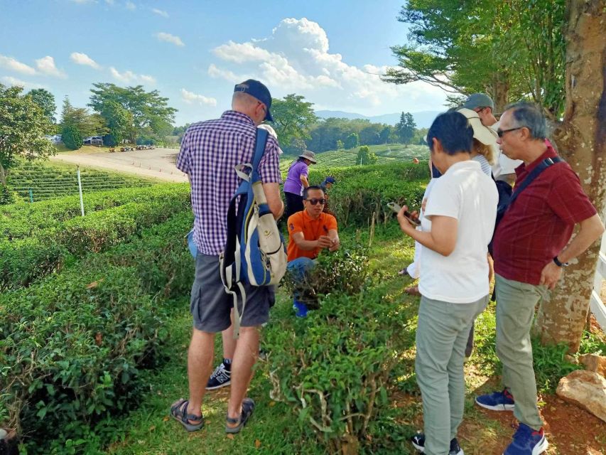 Chiang Rai Guide: Popular 7places 3Colors ,Golden Triangle - Who This Tour Suits Best (And Who Might Want Something Else)