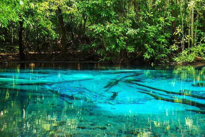 Discover Krabi - Emerald Pool, Hot Springs & Tiger Cave Temple - Key things to know before you go