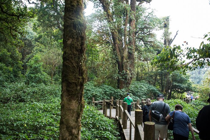 Doi Inthanon National Park Eco-Friendly Full Day Tour - Stop 1: Doi Inthanon National Park and Thailand’s highest-point photo moment