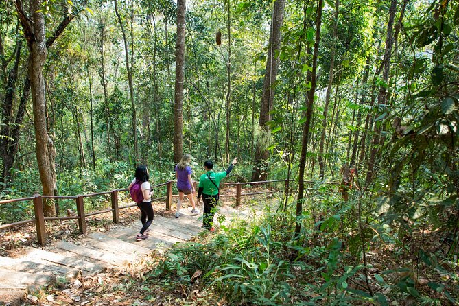 Doi Inthanon National Park Eco-Friendly Full Day Tour - Mae Klang Luang homestay: hill-tribe customs and coffee brewing
