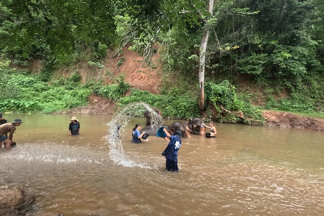 Elephant care program at CHIANGMAI ELEPHANT CARE - On Site: Mahout-Style Uniforms and a Care-First Mindset