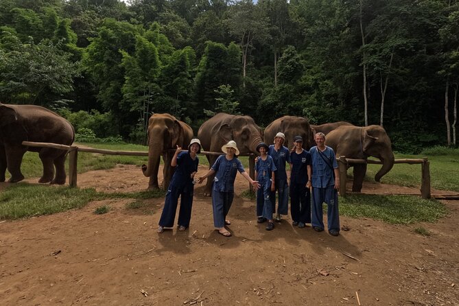 Elephant care program at CHIANGMAI ELEPHANT CARE - Price and Value: Why $52 Can Make Sense