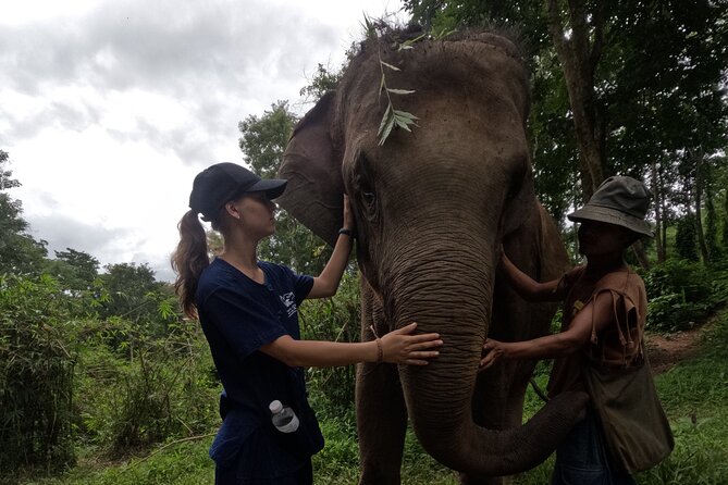 Elephant care program at CHIANGMAI ELEPHANT CARE - Who This Tour Fits Best (and Who Might Want a Different Option)