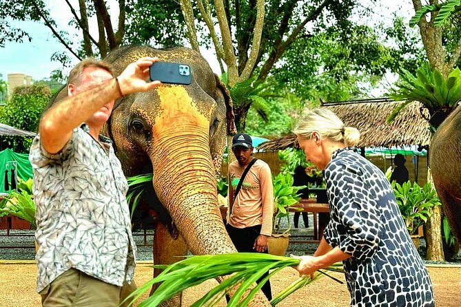 Elephant Nature Care, the largest elephant sanctuary on Koh Samui - Making elephant snacks and feeding: hands-on without turning it into a stunt