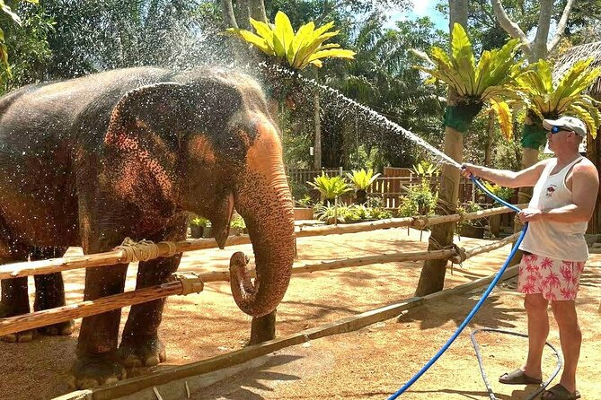 Elephant Nature Care, the largest elephant sanctuary on Koh Samui - Walking with elephants in the open habitat: why it feels more natural