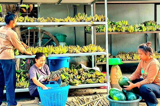 Elephant Nature Care, the largest elephant sanctuary on Koh Samui - Getting picked up: how the day starts on Koh Samui time