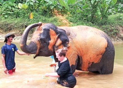 Ethical Elephant Sanctuary Experience in Khao Lak - Getting There From Khao Lak: Time, Comfort, and the Pace of the Day