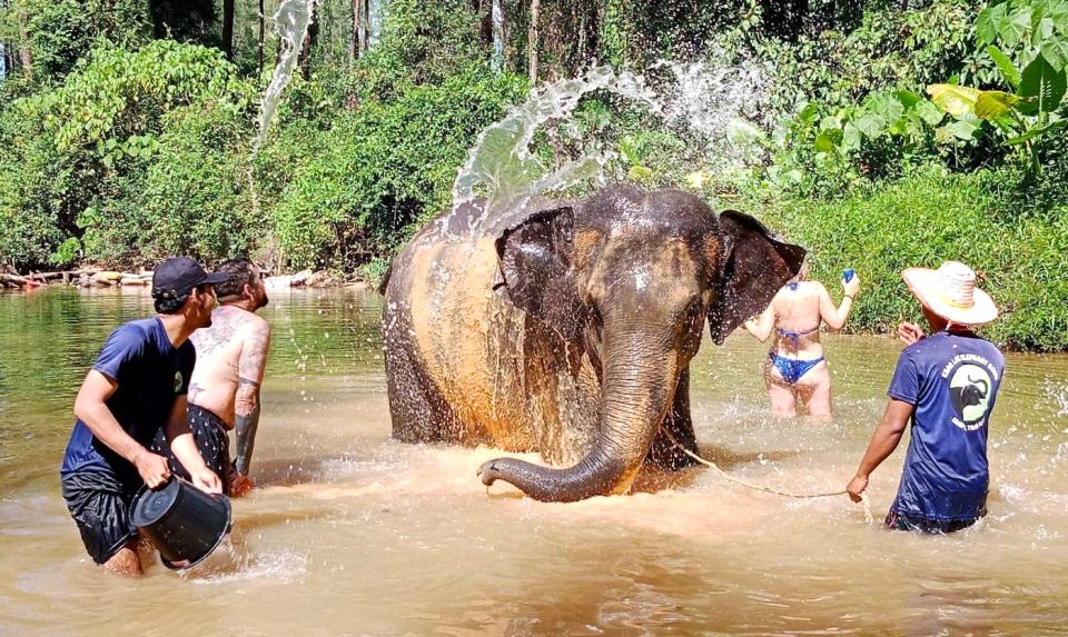 Ethical Elephant Sanctuary Experience in Khao Lak - Elephant-Led Observation Walk With Mahouts: The Respectful Way to See Them