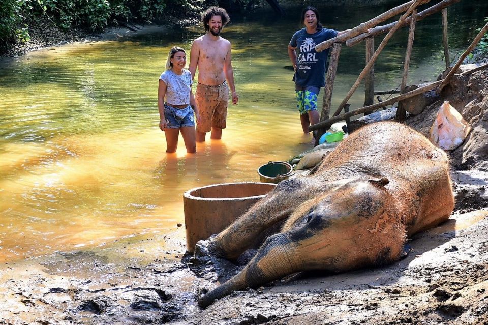 Ethical Elephant Sanctuary Experience in Khao Lak - Ya Dom Herbal Inhaler Workshop: A Tiny Thai Wellness Item With Big Meaning