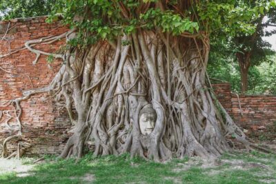From Bangkok: Ayutthaya Day Tour by Bus with River Cruise - Morning Pickup: How the Start Sets the Tone