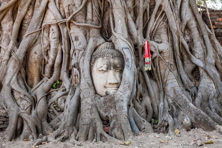 From Bangkok: Ayutthaya Private Full-Day UNESCO Trip - Price and Value vs DIY Ayutthaya
