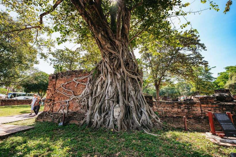 From Bangkok: Ayutthaya Temples Guided Tour with Lunch - Wat Lokayasutha: the giant reclining Buddha that’s still standing