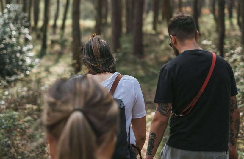 From Bangkok: Khao Yai National Park Small-Group Day Trip - Haew Suwat Waterfall: jungle vines, big views, and a photo-friendly stop