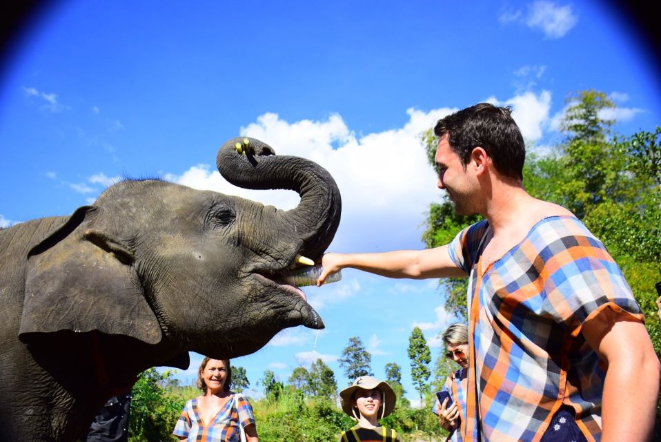 From Chiang Mai: Elephant Care Program and Nursery Tour - Why this Chiang Mai elephant day feels different
