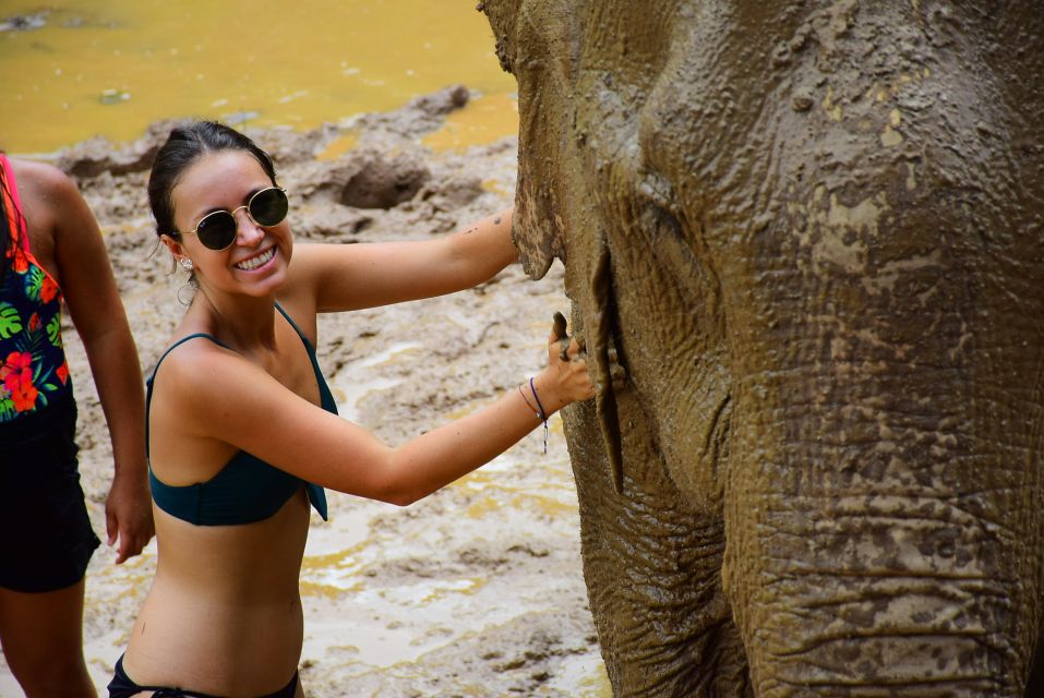 From Chiang Mai: Elephant Care Program and Nursery Tour - Value and price: what $53 gets you (and what costs extra)