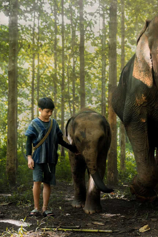 From Chiang Mai: Kerchor Eco Elephant Park Tour - Is this tour right for you?