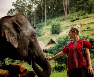 From Chiang Mai: Kerchor Eco Elephant Park Tour - The eco-park orientation: how they explain elephant care