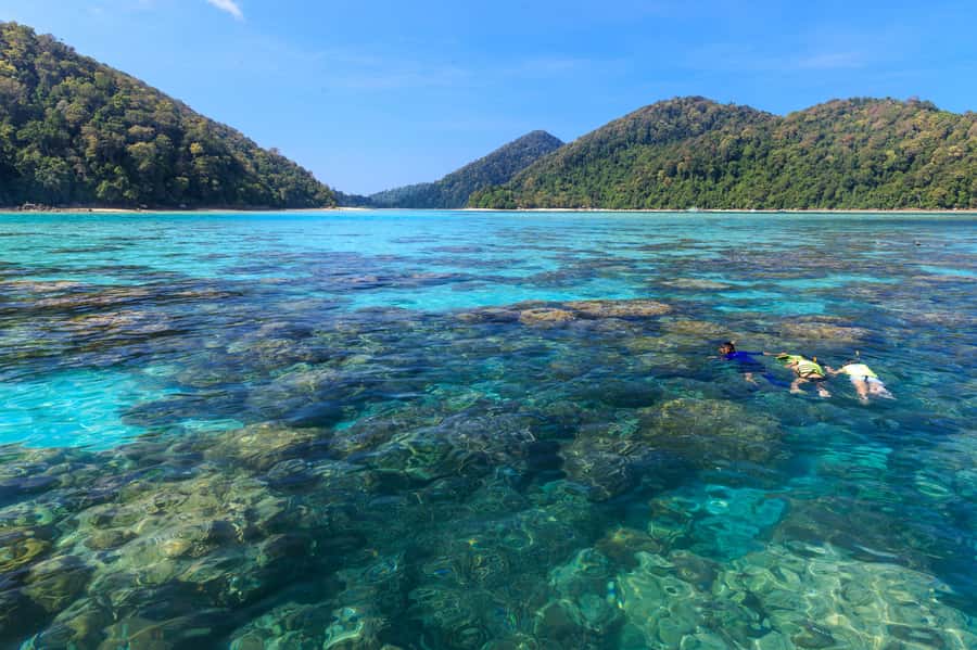 From Khao Lak: Full-Day Snorkeling in the Surin Islands - Mu Koh Surin National Park lunch: beach food and practical breaks