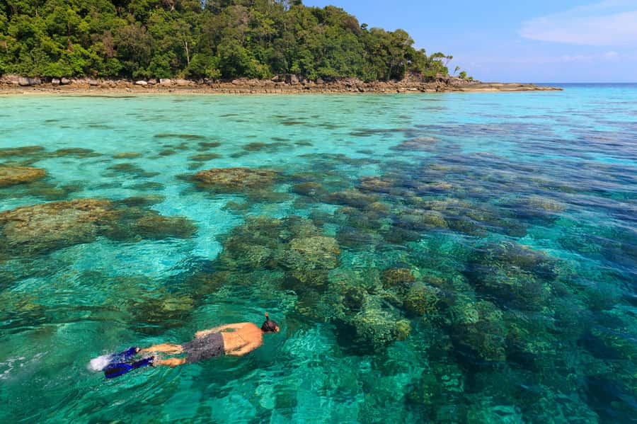 From Khao Lak: Full-Day Snorkeling in the Surin Islands - What’s included (and what you’ll add yourself)