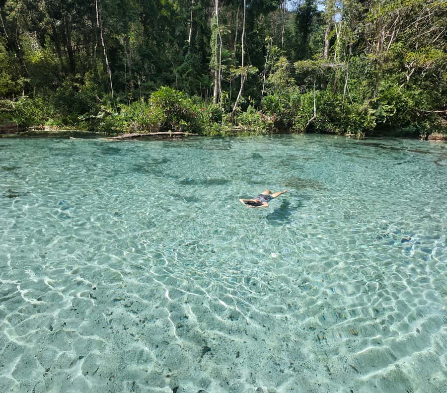 From Khao Lak/Khao Sok: Cheow Lan Lake and Emerald Pool Tour - Key highlights worth planning around