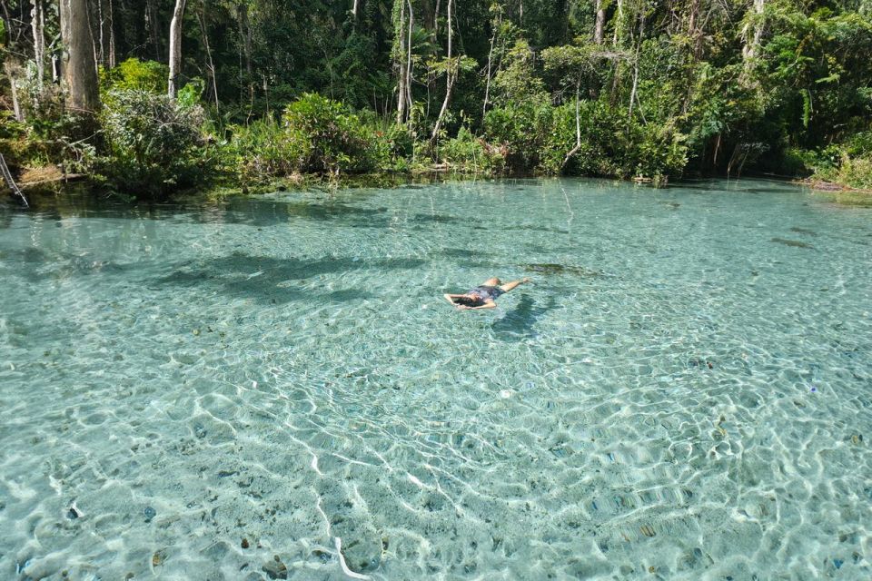 From Khao Lak or Phuket: 2-Day Cheow Lan Lake Tour - Cheow Lan Lake boat tour to the raft house: scenery plus wildlife odds