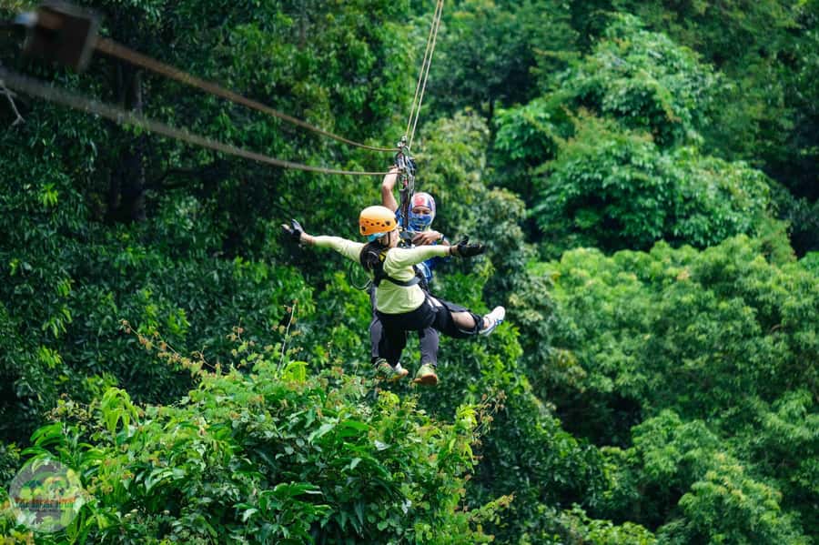 From Koh Samui: Tree Bridge Zipline and Café Experience - Tree Bridge Zipline: Jungle Adrenaline With Real Views