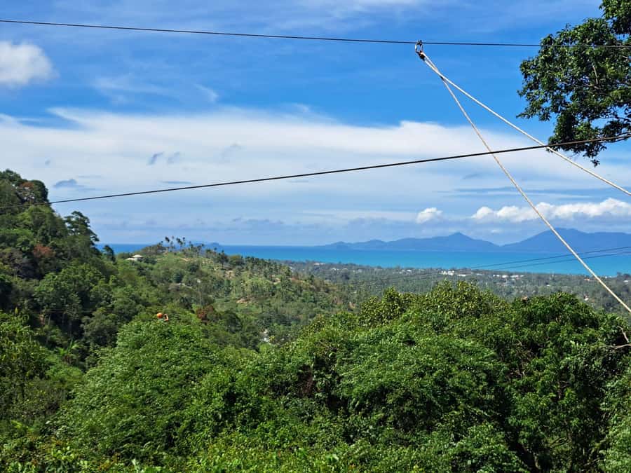 From Koh Samui: Tree Bridge Zipline and Café Experience - Pickup Areas, Timing, and the Things That Can Trip You Up