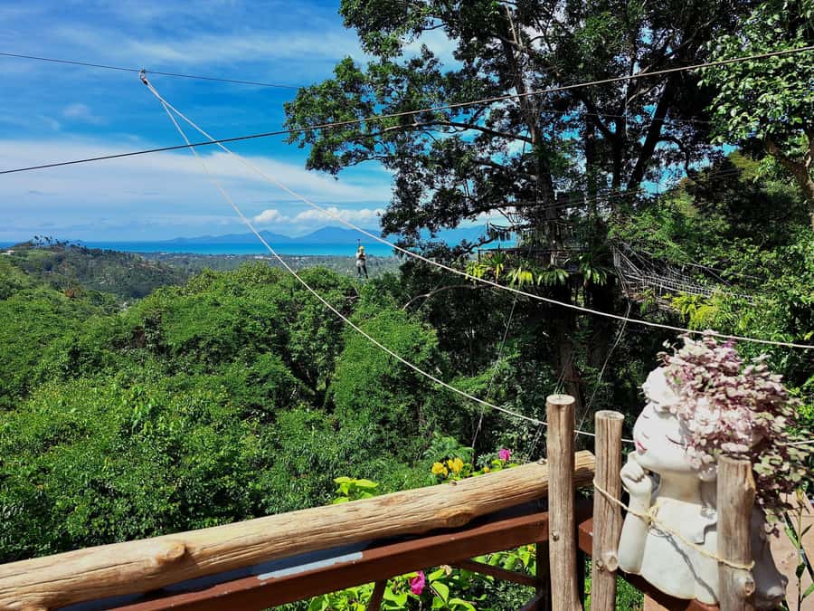 From Koh Samui: Tree Bridge Zipline and Café Experience - Should You Book Tree Bridge Zipline and Café From Samui?