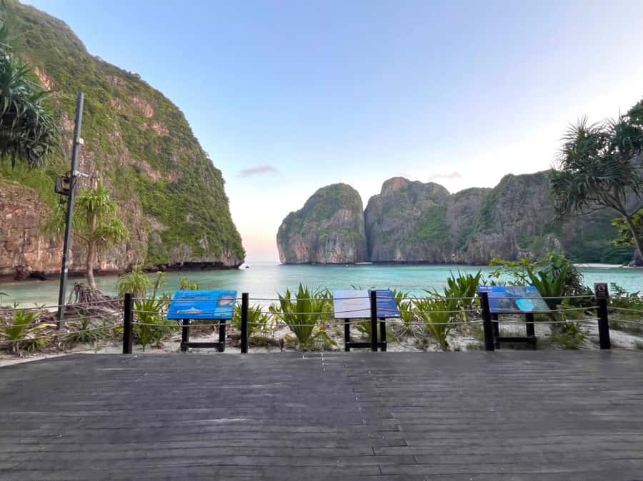 From Krabi: Phi Phi Early Bird & 4 Islands by Speedboat - Snorkeling spots: reef color, fish variety, and the shark possibility