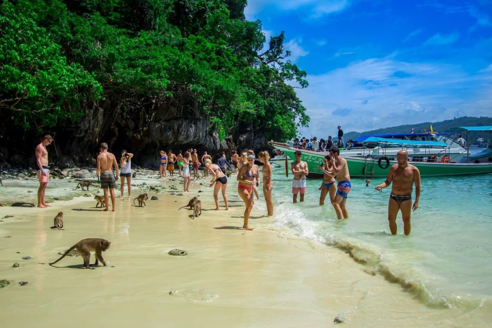 From Phi Phi: Half-Day Longtail Boat Tour with Snorkeling - Monkey Beach: Watch Wildlife Without Creating Chaos