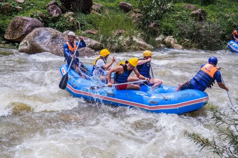 From Phuket: Elephant Care Experience with Rafting & Zipline - Elephant feeding and bathing: why it feels different from the usual gimmick