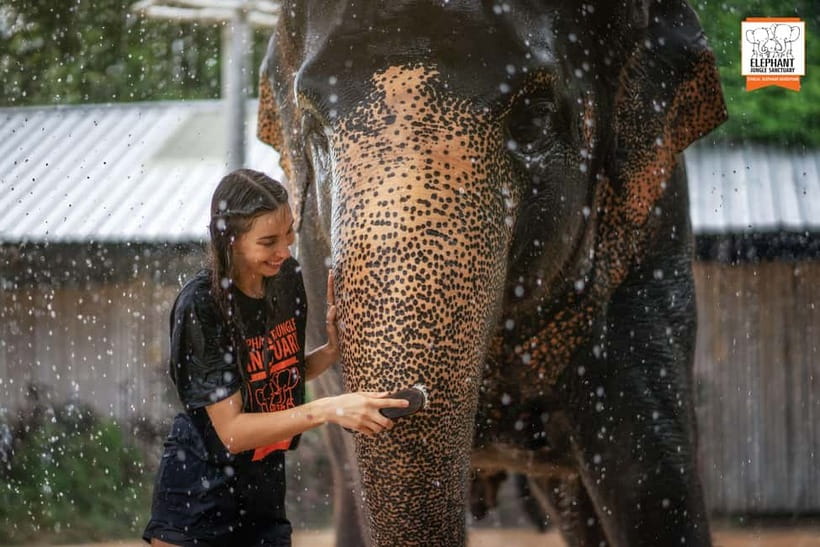 From Phuket: Elephant Jungle Sanctuary Feed and Shower Trip - What to bring (and what to wear) so the shower doesn’t ruin your day