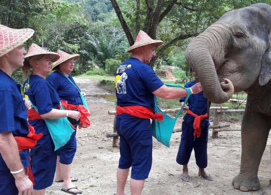 From Phuket & Khao Lak: Elephant Care with Waterfall Visit - Your 11 AM Start: Mahout Uniform, Training, and First Contact