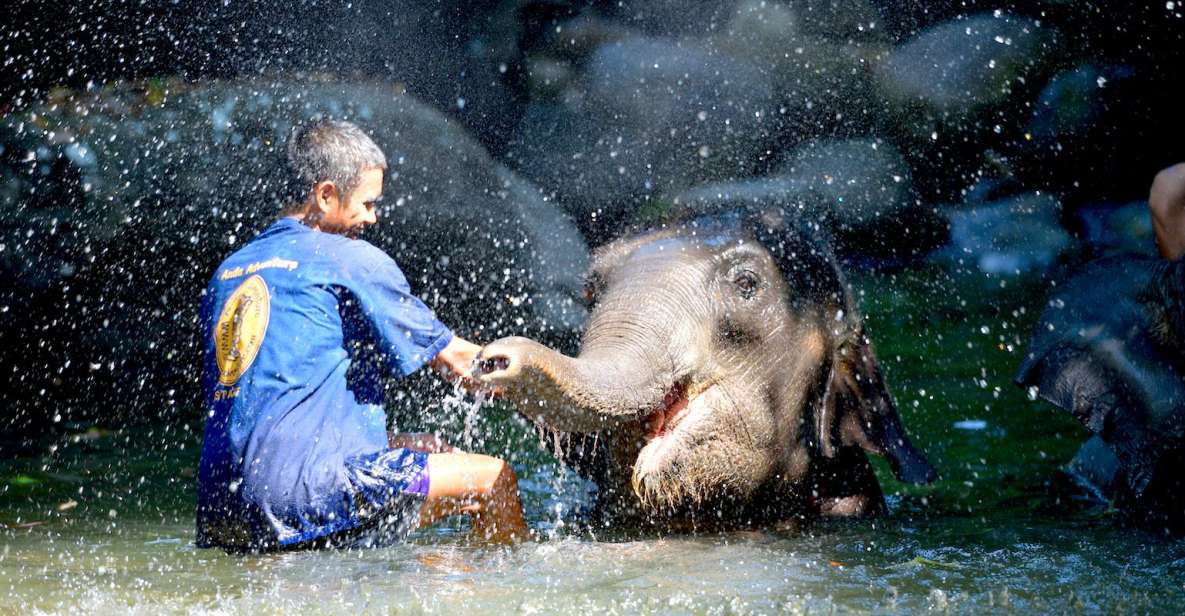 From Phuket & Khao Lak: Elephant Care with Waterfall Visit - Mud Spa and River Bath: The Care Routine You Don’t See Elsewhere
